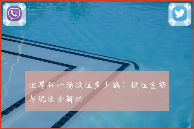 世界杯一场投注多少钱?投注金额与玩法全解析