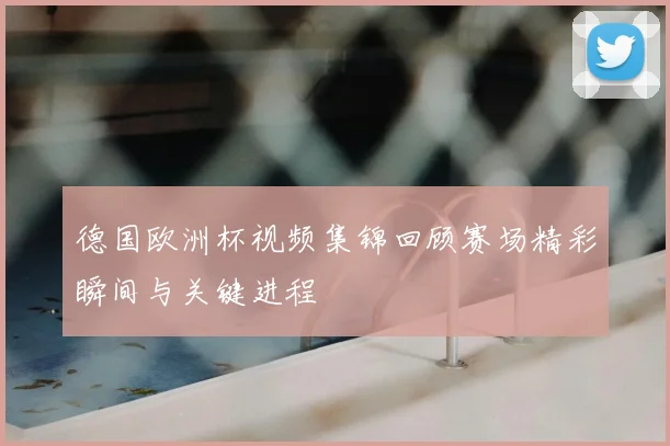德国欧洲杯视频集锦回顾赛场精彩瞬间与关键进程