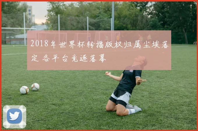 2018年世界杯转播版权归属尘埃落定 各平台竞逐落幕