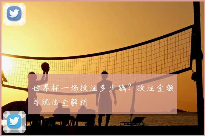 世界杯一场投注多少钱？投注金额与玩法全解析